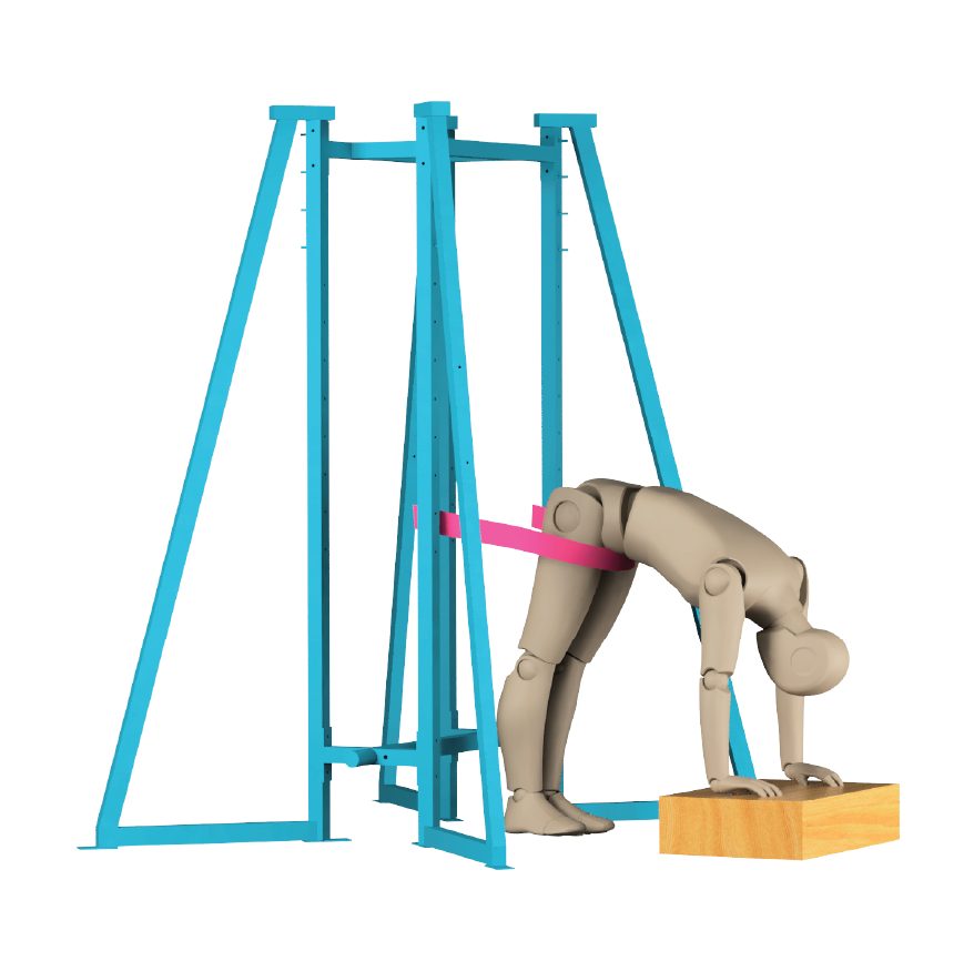 ActiveLab exercise photo