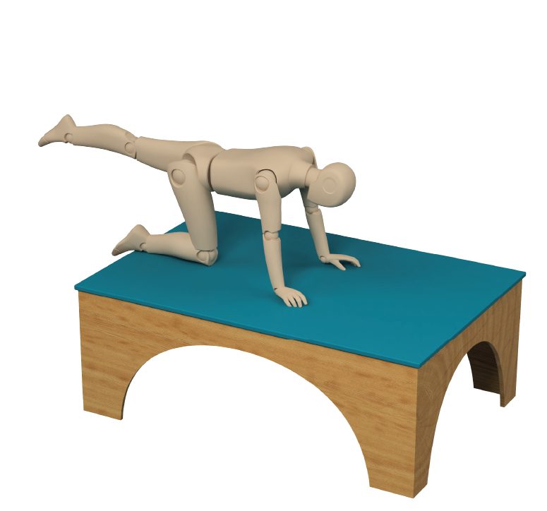 ActiveLab exercise photo