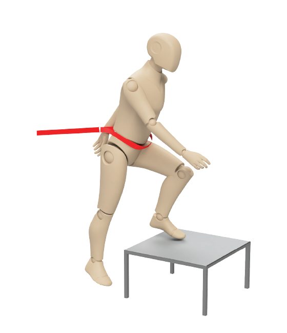 ActiveLab exercise photo