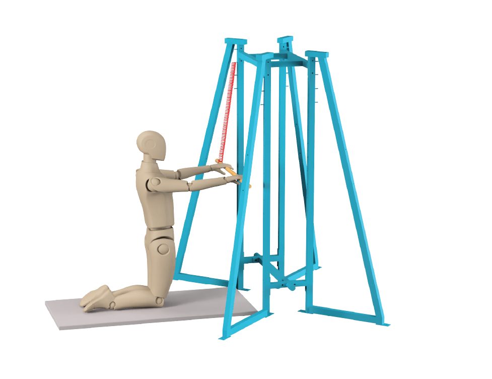 ActiveLab exercise photo