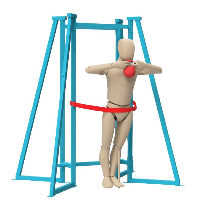 ActiveLab exercise photo