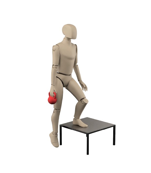 ActiveLab exercise photo