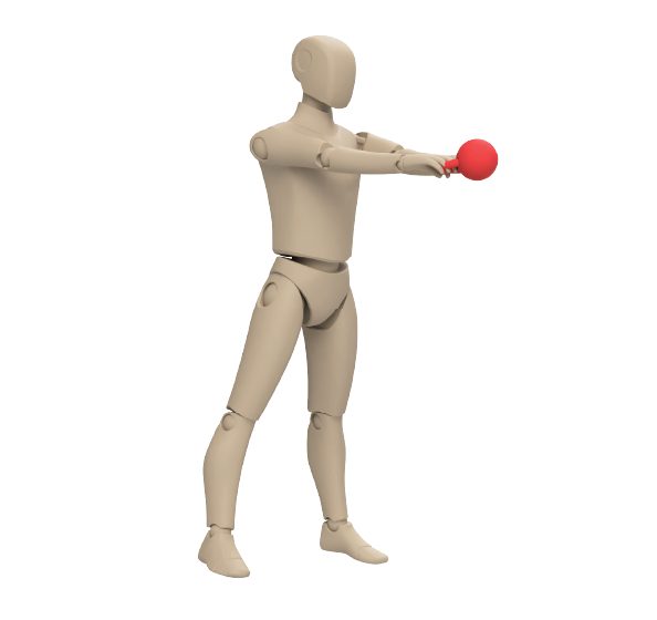 ActiveLab exercise photo