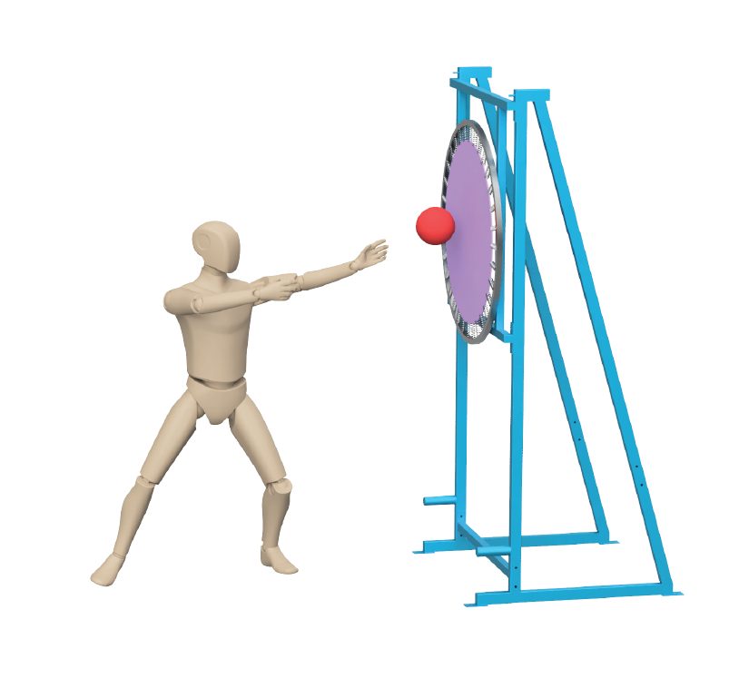 ActiveLab exercise photo