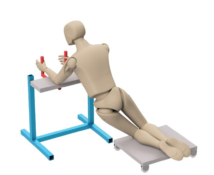 ActiveLab exercise photo
