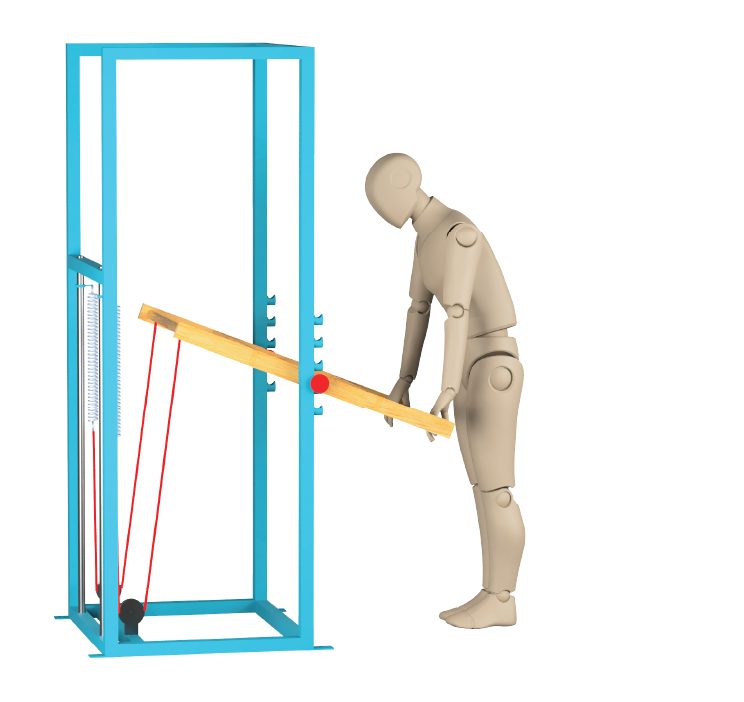 ActiveLab exercise photo