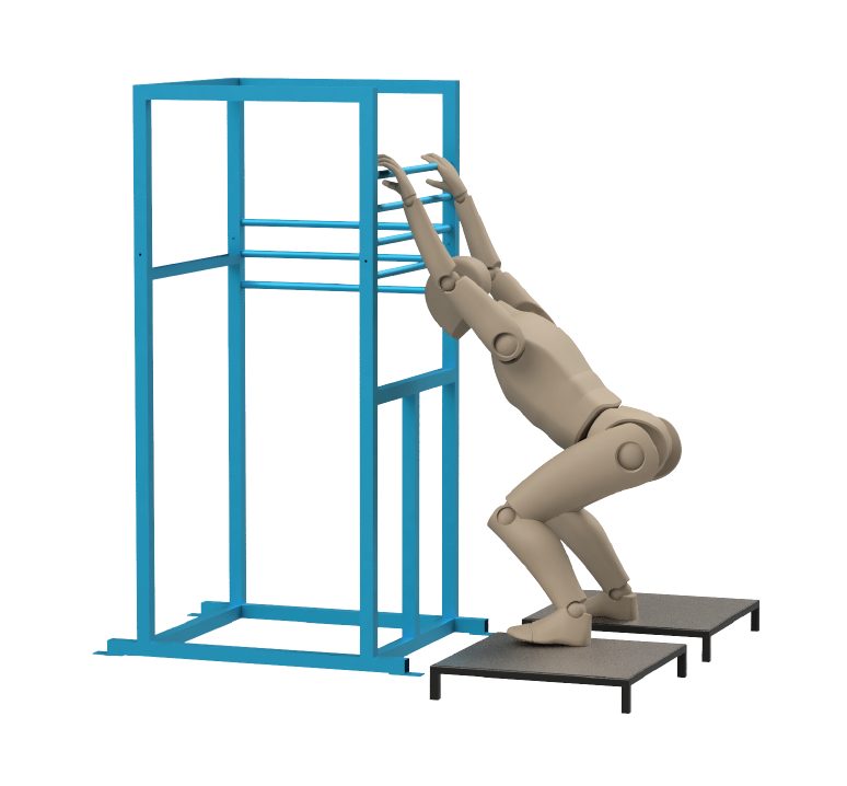 ActiveLab exercise photo