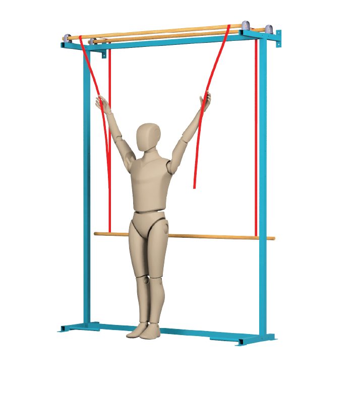 ActiveLab exercise photo